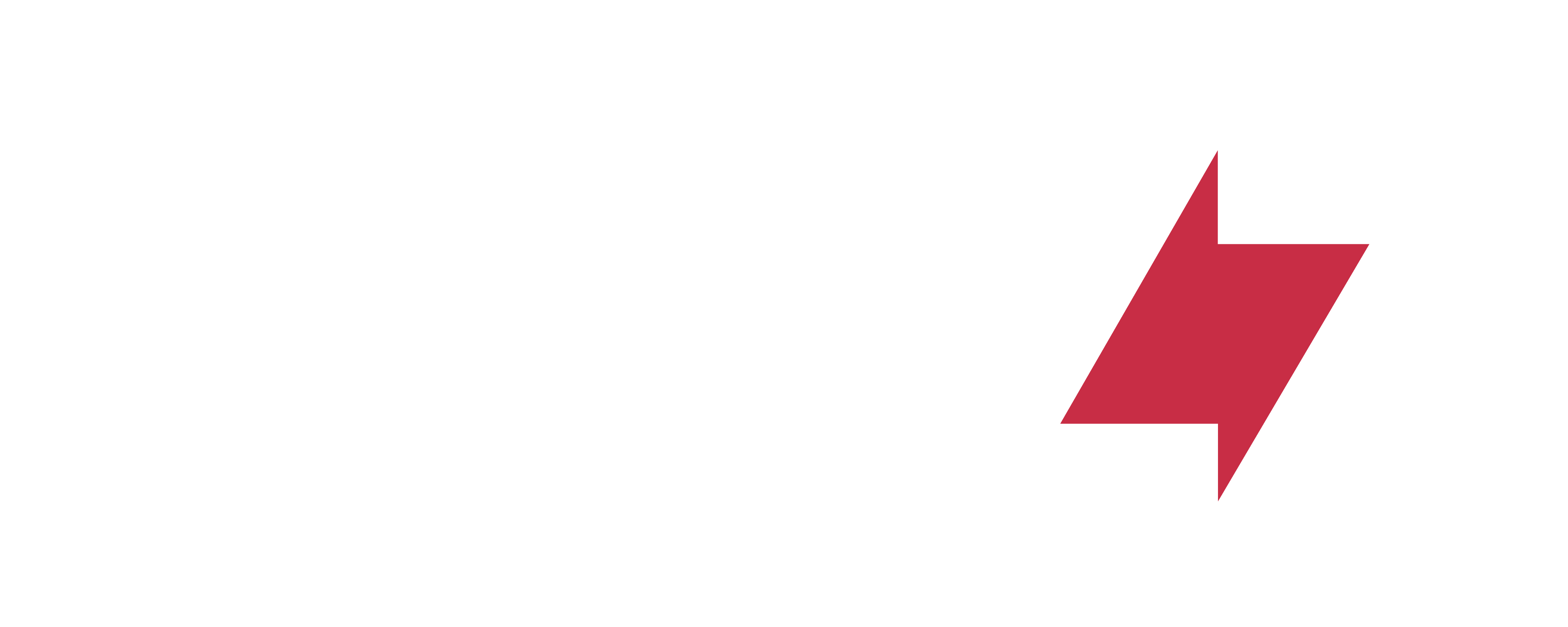 buzzsols-logo-white